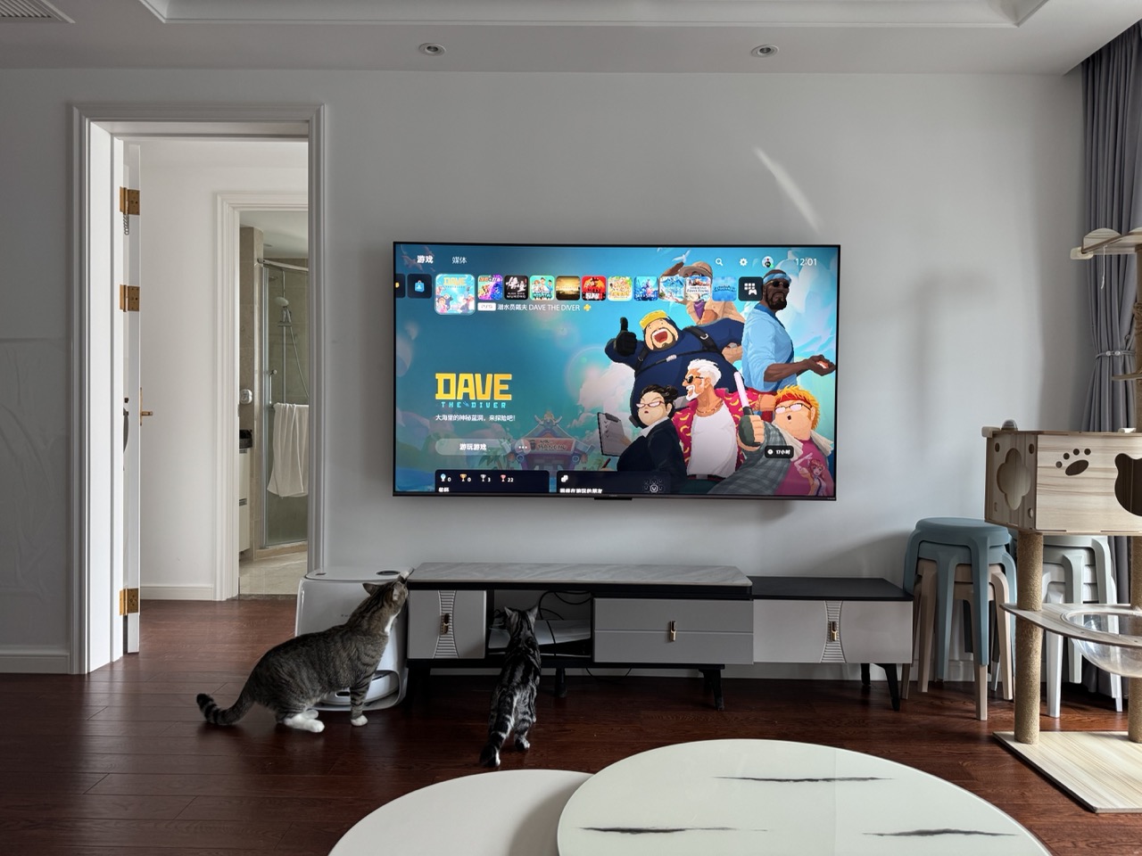 tv